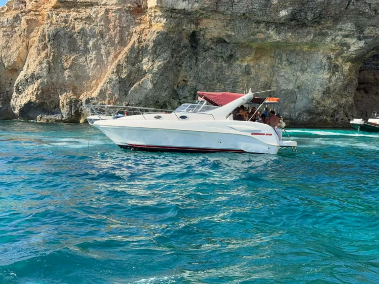 Noleggiare una Sealine Sealine 240 a Saint Paul's Bay