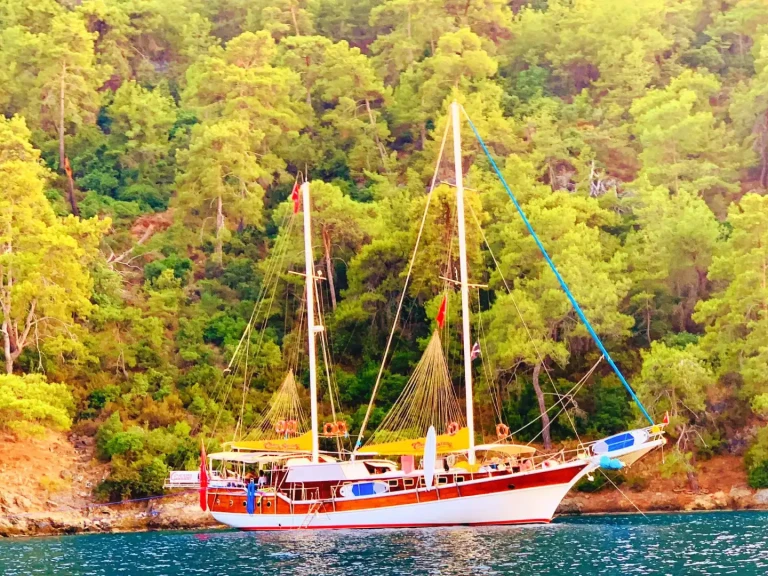 Noleggio Barca a vela Custom con patente nautica