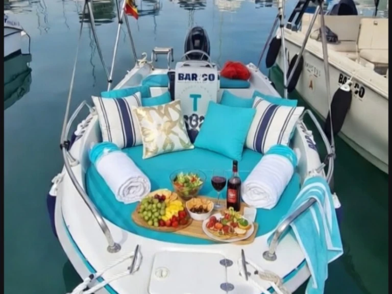 Noleggio barche Quicksilver Activ 455 Open a Alicante su Samboat