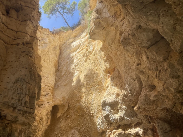 Noleggio barche Vieste economico Sermoneta 29'