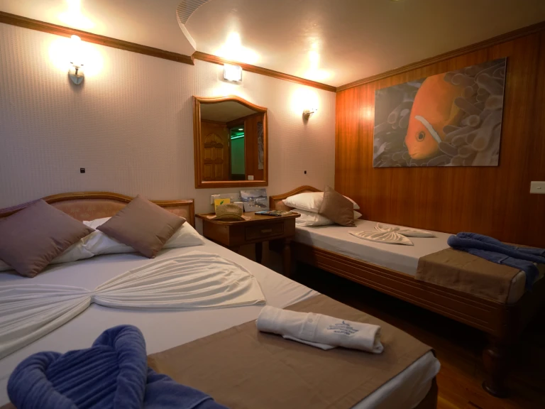 Noleggio barche Hulhumale economico Conte Max - Cabin (triple-1 double bed + 1 single bed)