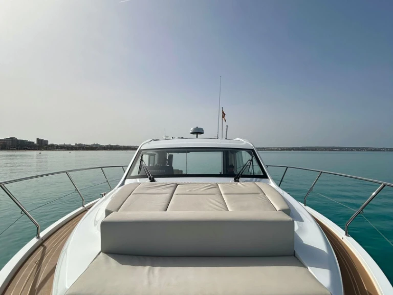 Noleggio barche Sealine Sealine C 39 a Palma de Maiorca su Samboat