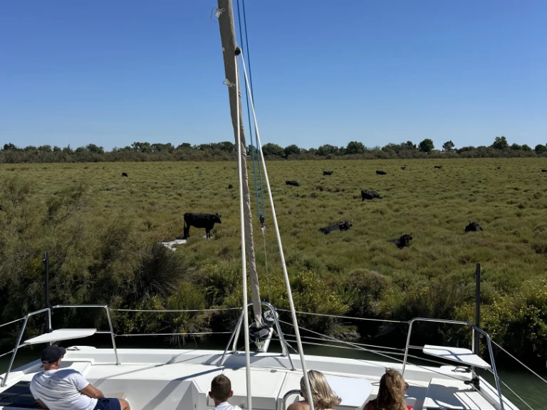 Bali Bali Catspace Voile da affittare a  Le Grau-du-Roi