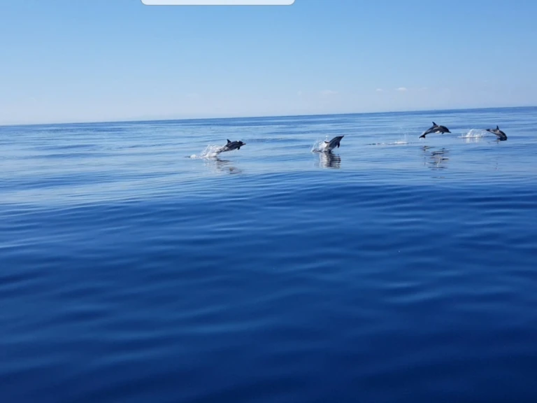 Noleggio a Anglet – Jeanneau Merry Fisher 925 Fly su SamBoat