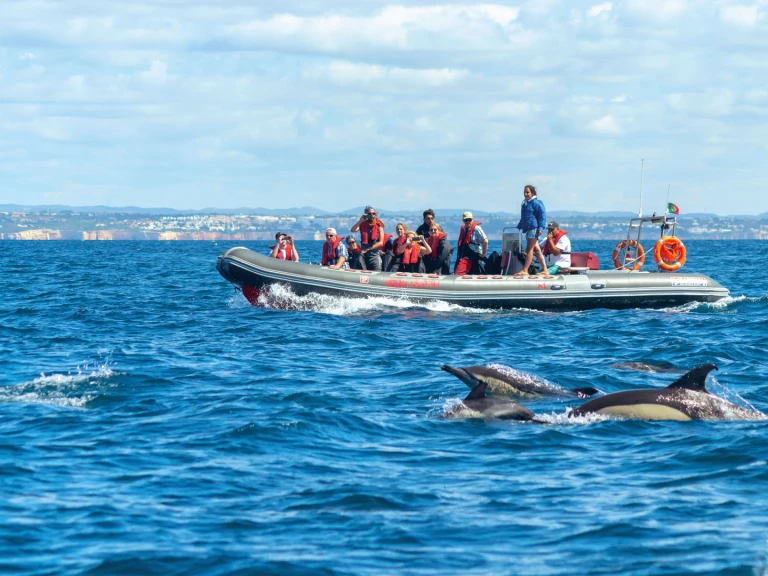 Gommone a noleggio a Lagos al miglior prezzo