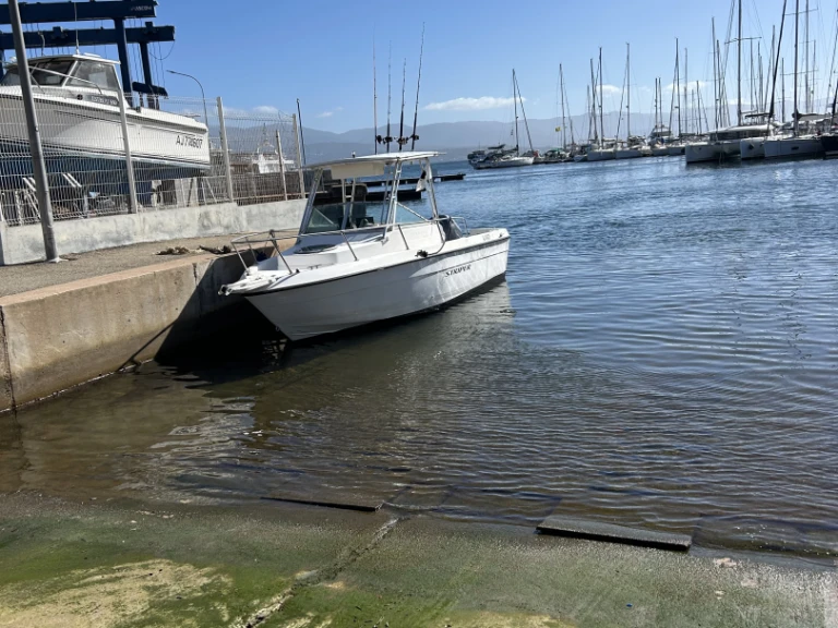 Noleggiare una Seaswirl 2150 a Ajaccio