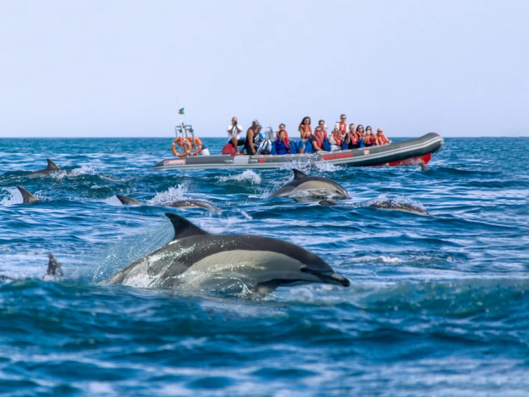 Noleggio a Portimão – Narwhal 88 su SamBoat