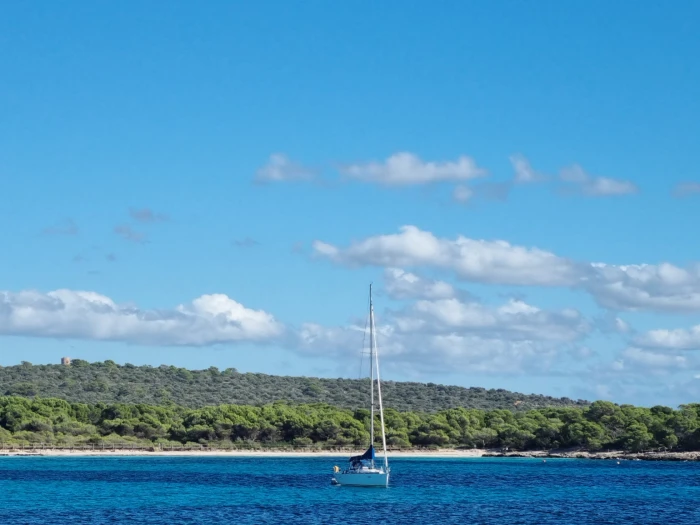 Noleggio Barca a vela Bénéteau con patente nautica