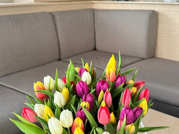 Noleggio barche Fountaine Pajot Fountaine Pajot Samana 59 - 6 + 2 cab a Procida su Samboat