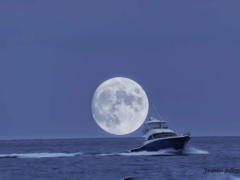 Rico Cori Fisher 1370 da affittare a  Altea