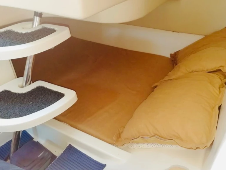 Salpa laver 20.5 da affittare a  Mandelieu-la-Napoule