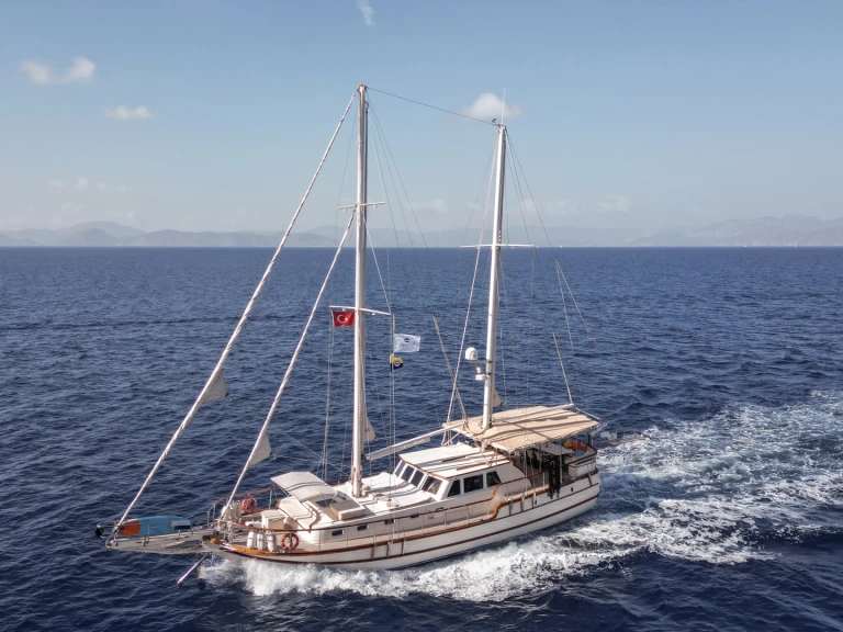 Noleggiare una  Junior Tarkan - Premium Gulet a Fethiye