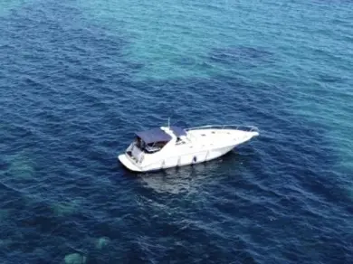 Barca a motore a noleggio a Las Tres Cales al miglior prezzo