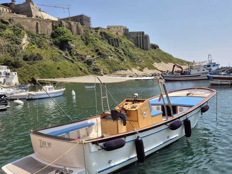 Fratelli Aprea Sorrento 7,80 tradizionale / open da affittare a  Italia