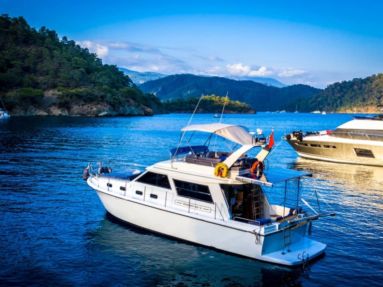 Princess Princess 42 da affittare a  Göcek