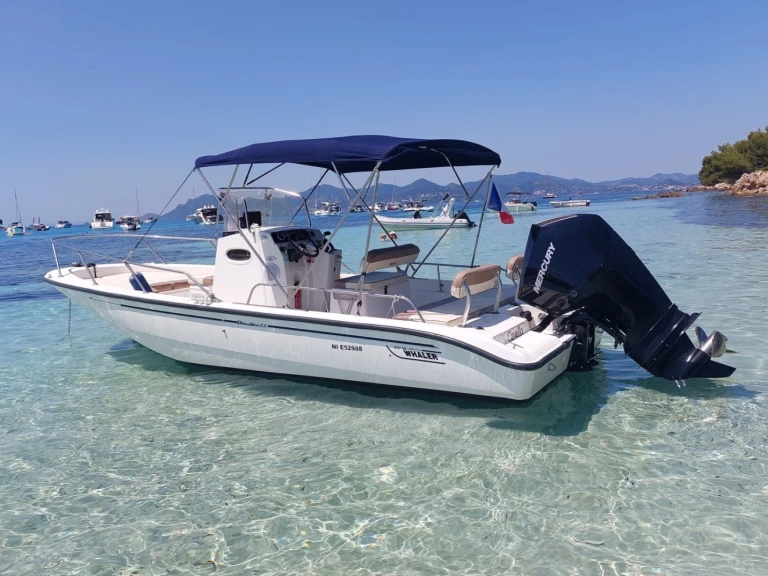 Noleggio barche Port de la Rague economico Boston Whaler 220 Dauntless