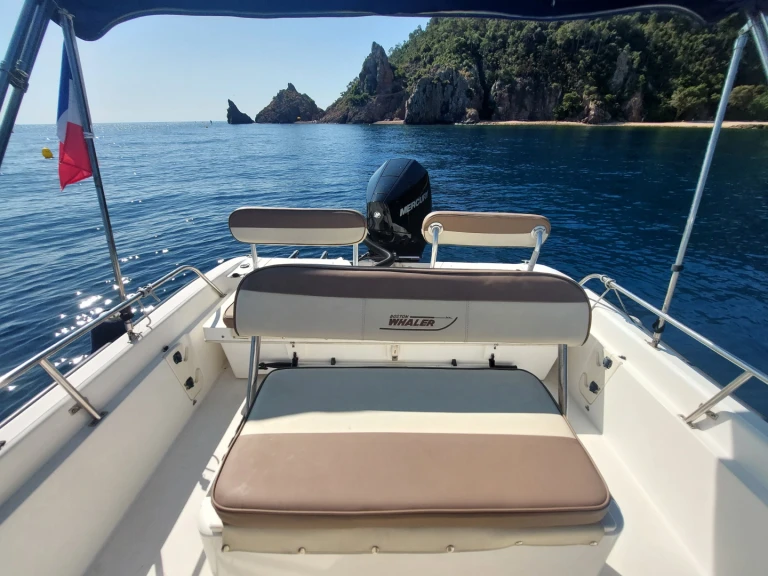 Noleggio Barca a motore Boston Whaler con patente nautica
