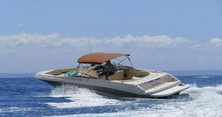 Sea Ray Sea Ray 260 da affittare a  Santa Ponsa