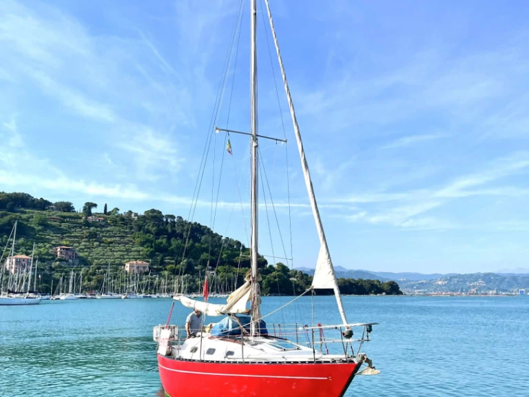 Noleggio Barca a vela con o senza skipper Cobra a Lerici