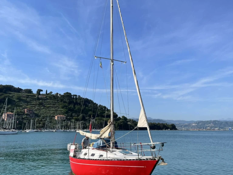 Noleggio Barca a vela Cobra con patente nautica