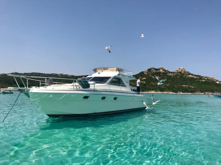 Noleggio Barca a motore con o senza skipper Mochi Craft a Porto Turistico Palau
