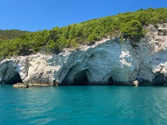 Noleggio barche Bénéteau Cyclades 43.3 a Vieste su Samboat