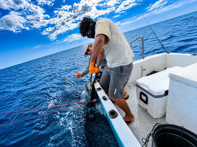 Noleggio Barca a motore con o senza skipper Custom Made a Bahía Culebra