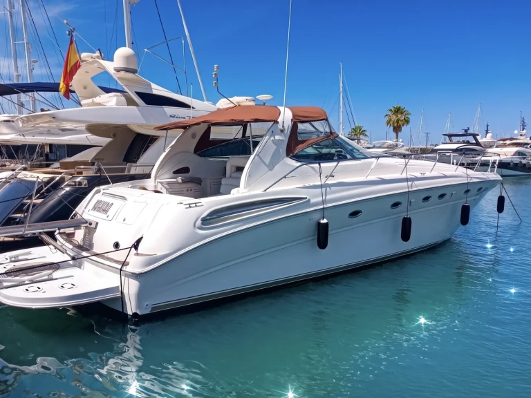 Noleggio Barca a motore con o senza skipper Sea Ray a Port de Pollença