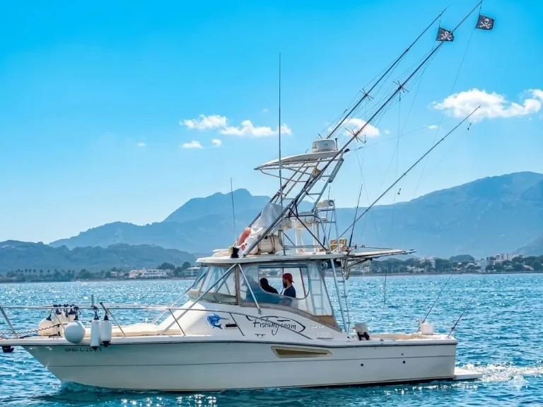 Noleggio barche Port de Pollença economico 3100 open