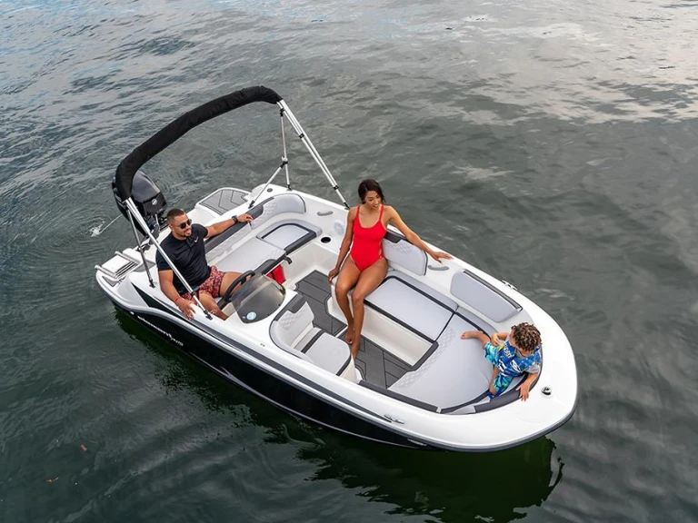 Noleggiare una Bayliner ELEMENT M15 a Sanguinet