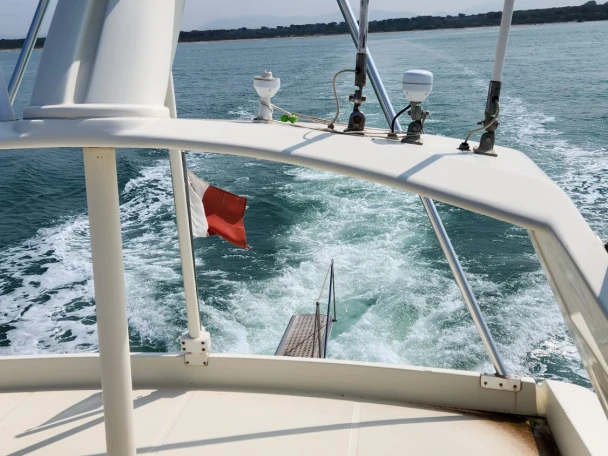 Noleggio a Pisa – Ferretti Ferretti 60 su SamBoat