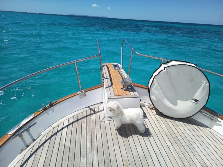 Noleggio Barca a motore con o senza skipper Majoni a Colònia de Sant Jordi