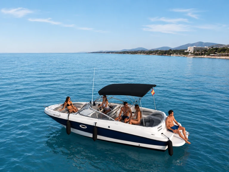 Noleggio a Puerto Banús – Bayliner Bayliner 249 SD su SamBoat