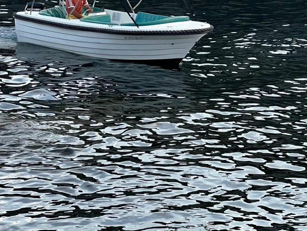 Noleggio Barca a motore Polyester Yacht con patente nautica