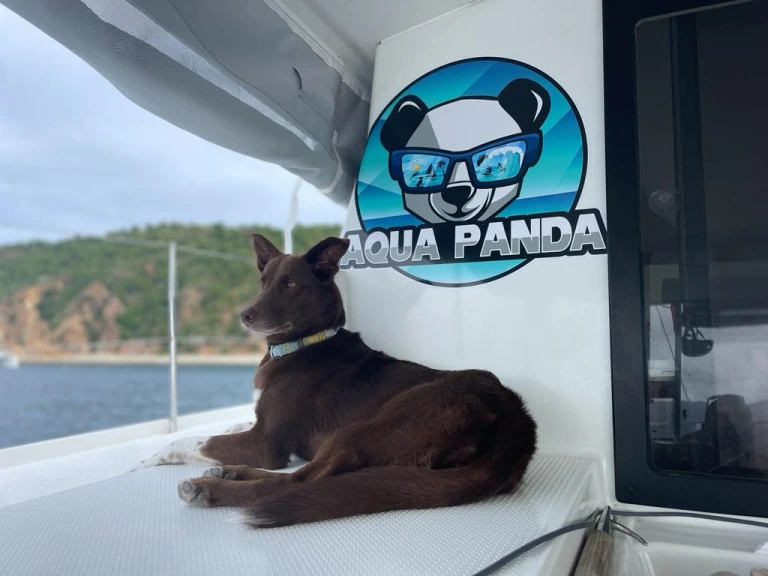 Noleggio Catamarano a Tortola – Fountaine Pajot Lucia 40