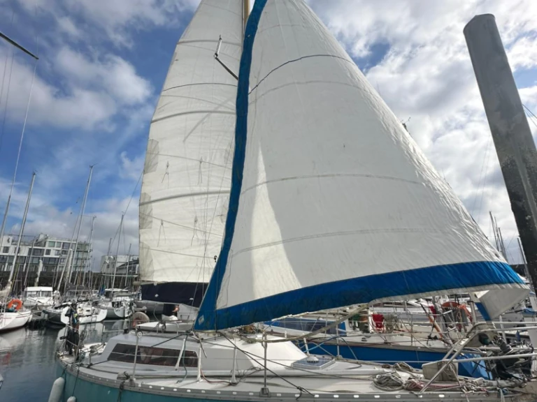 Noleggio barche Jeanneau Brin de folie a Brest su Samboat