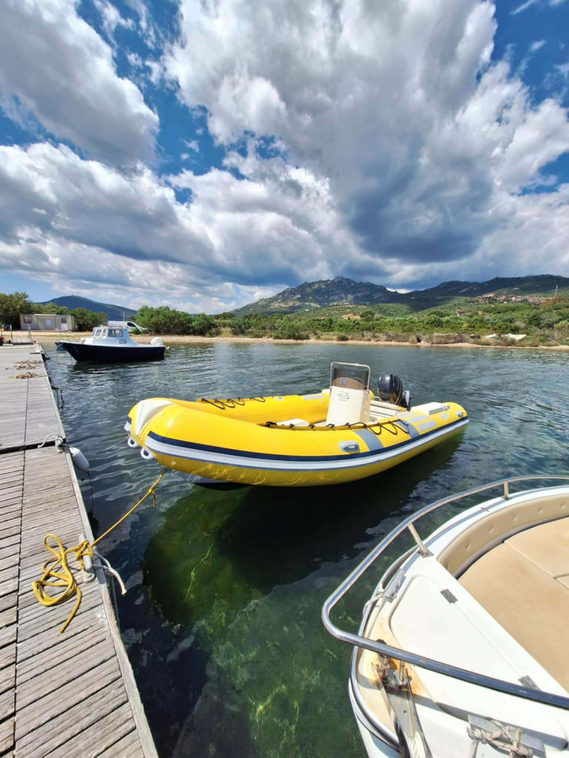 Italboats Predator  da affittare a  Olbia
