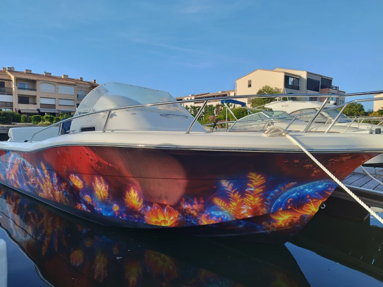 Noleggiare una White Shark White Shark 248 a Saint-Cyprien