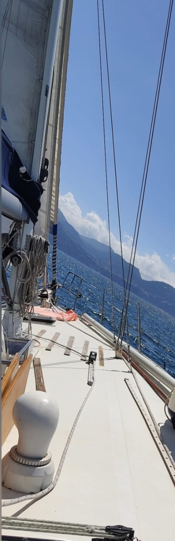 Noleggio barche Porto di Torre del Greco economico orca 43