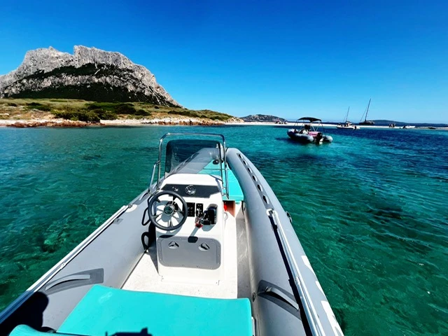 Bwa California 550 da affittare a  Olbia