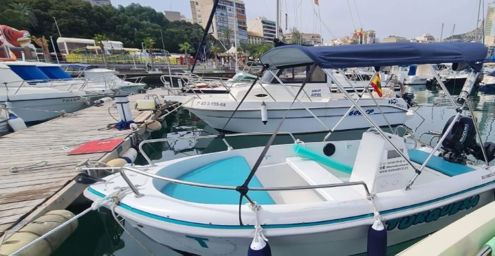 Noleggio barche Quicksilver Activ 455 Open a Alicante su Samboat