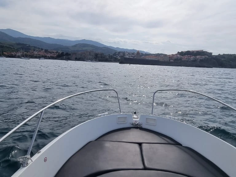 Noleggio Barca a motore a Argelès-sur-Mer – Bénéteau Flyer 550 Open