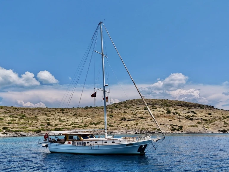 Noleggio Barca a vela Custom Made con patente nautica
