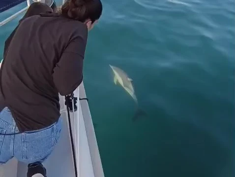 Noleggiare una Hunter Hunter 41 a Marbella