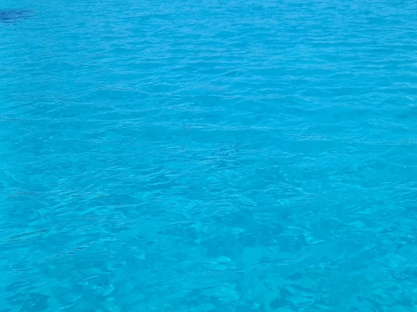 Noleggiare una Combac Shark  a Marsala