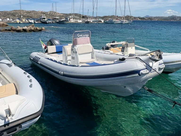 Asso asso 62 da affittare a  La Maddalena