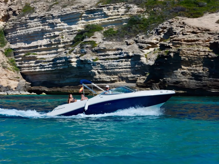 Sea Ray Sea Ray 230 da affittare a  Port d'Andratx