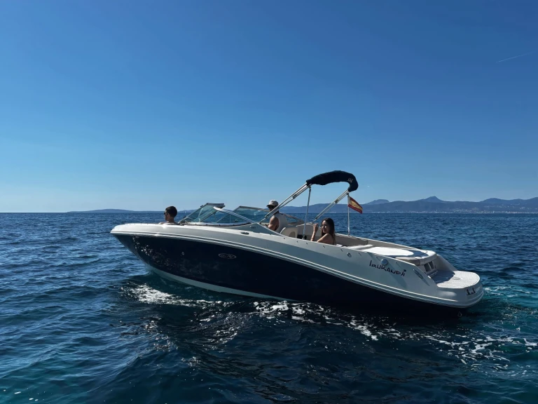 Noleggio a Port d'Andratx – Sea Ray Sea Ray 230 su SamBoat