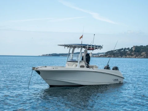 Noleggio Barca a motore Boston Whaler con patente nautica
