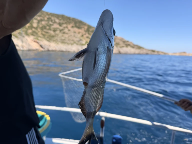 Traditional Greek  da affittare a  Pórto Ráfti